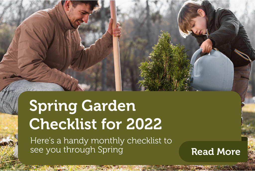 A Month-by-Month Spring Checklist For Your Irish Garden, Backyard and Balcony