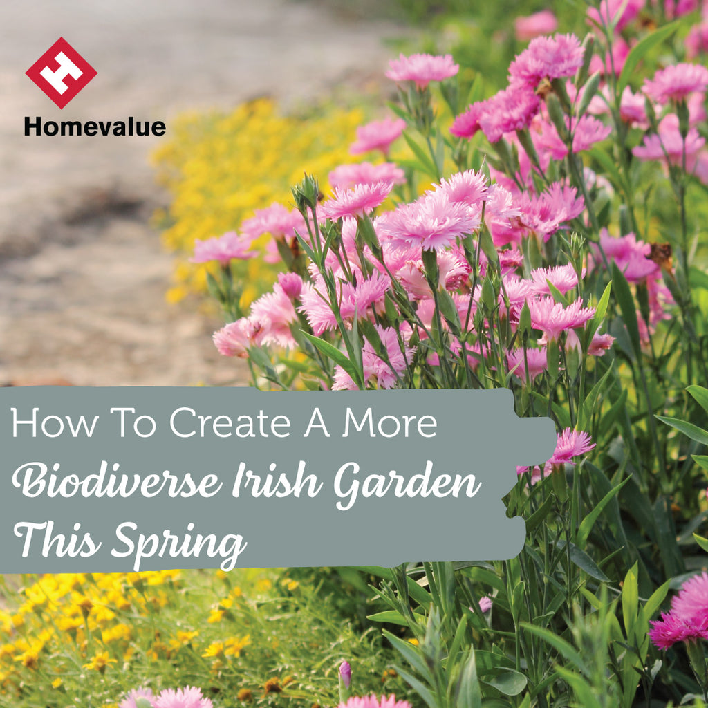 How To Create A More Biodiverse Irish Garden This Spring
