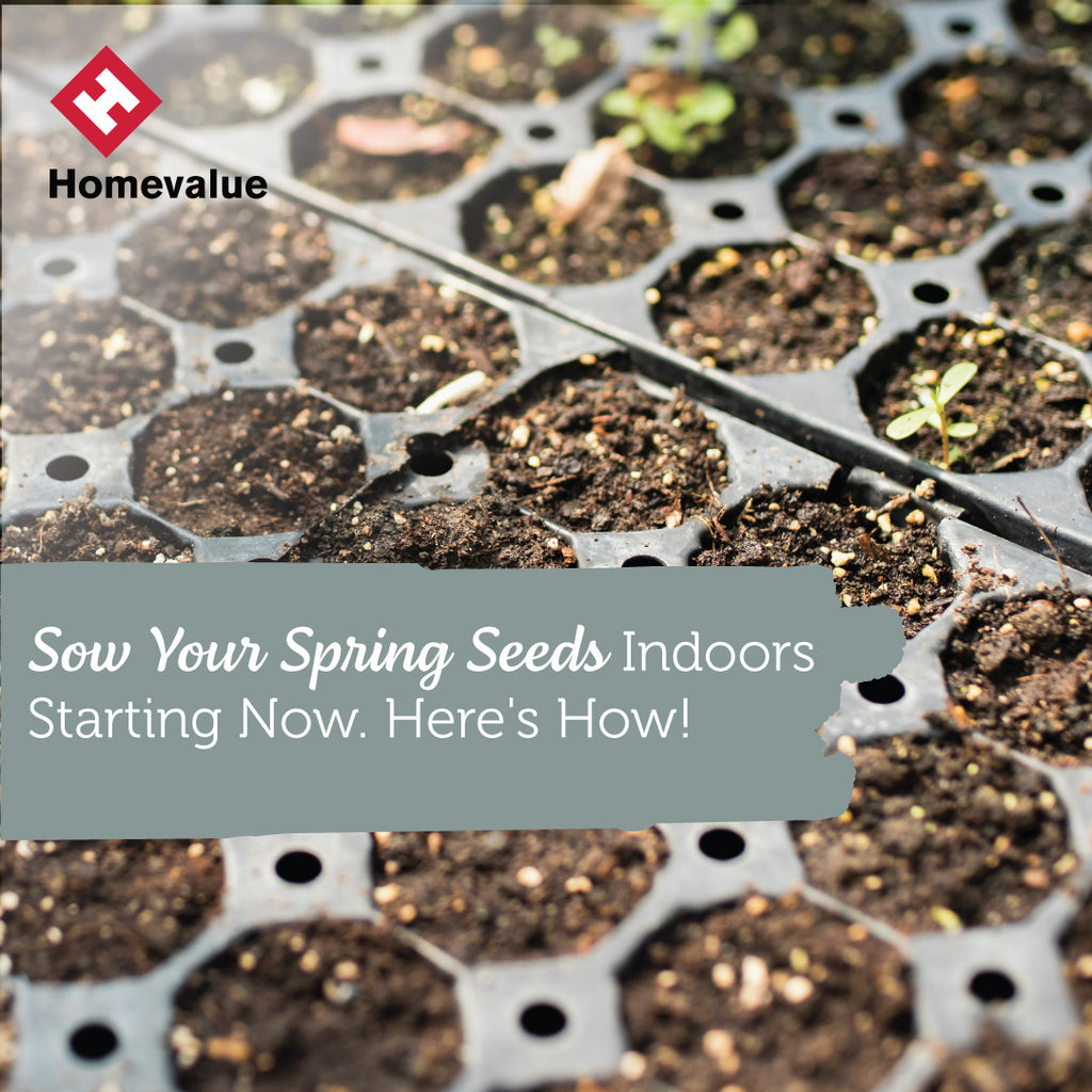 Sow Your Spring Seeds Indoors Starting Now. Here's How!