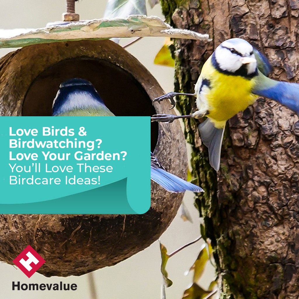 Love Birds & Birdwatching? Love Your Garden? You’ll Love These Birdcare Ideas!
