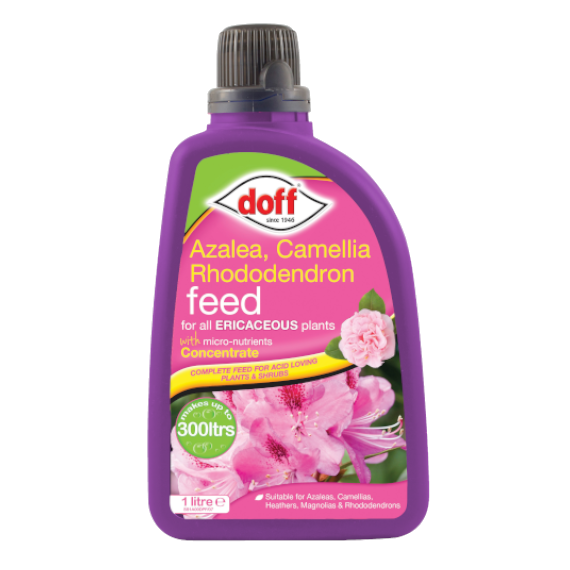 Doff Azalea Camellia & Rhododendron Concentrated Plant Feed - 1L