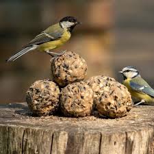 Select Seeds Wild Bird Fat Balls 6 Pack