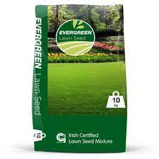 Evergreen Lawn Seed 10kg
